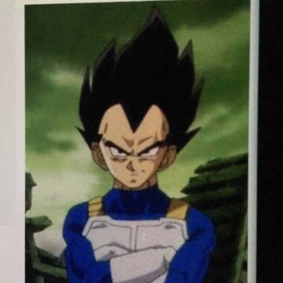 vegeta2020